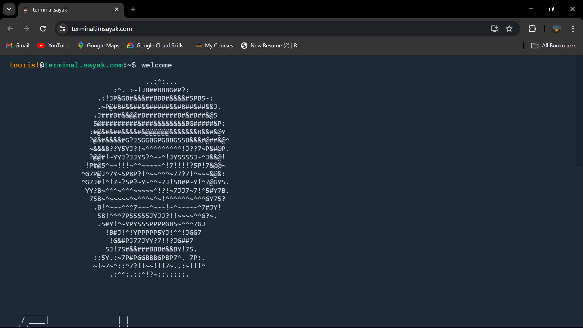 My Terminal